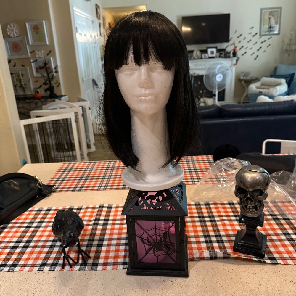 Incognito Wig - Black shoulder length hair with bangs